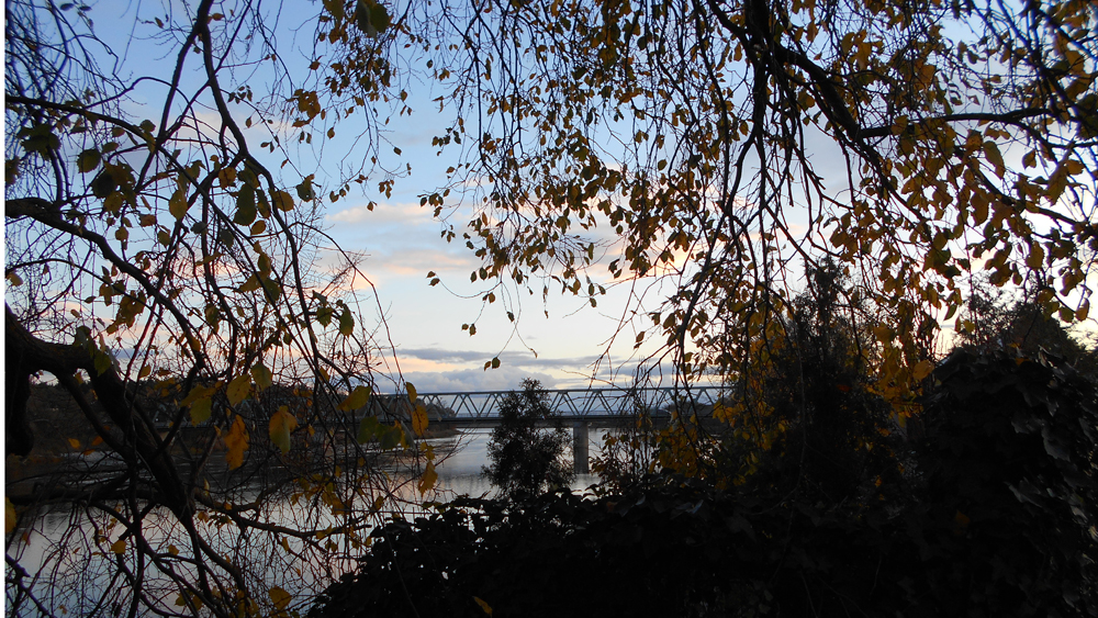 Image - Hohensaaten wehrt sich: Wald soll Solarpark weichen