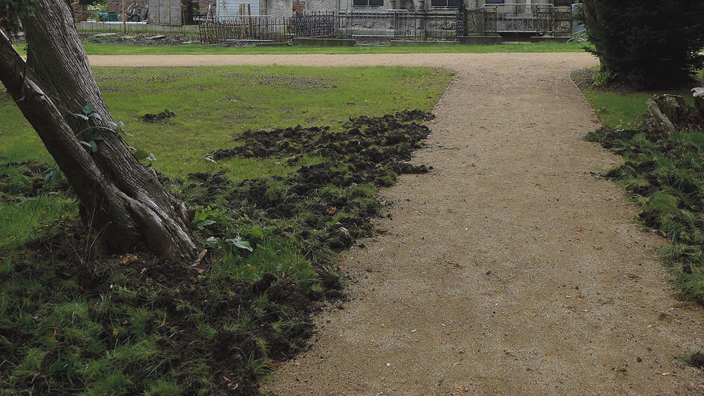 Schäden am Park durch Wildschweine