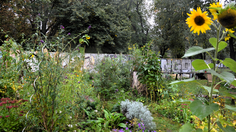 Garten Niemandsland an der Bernauer Straße