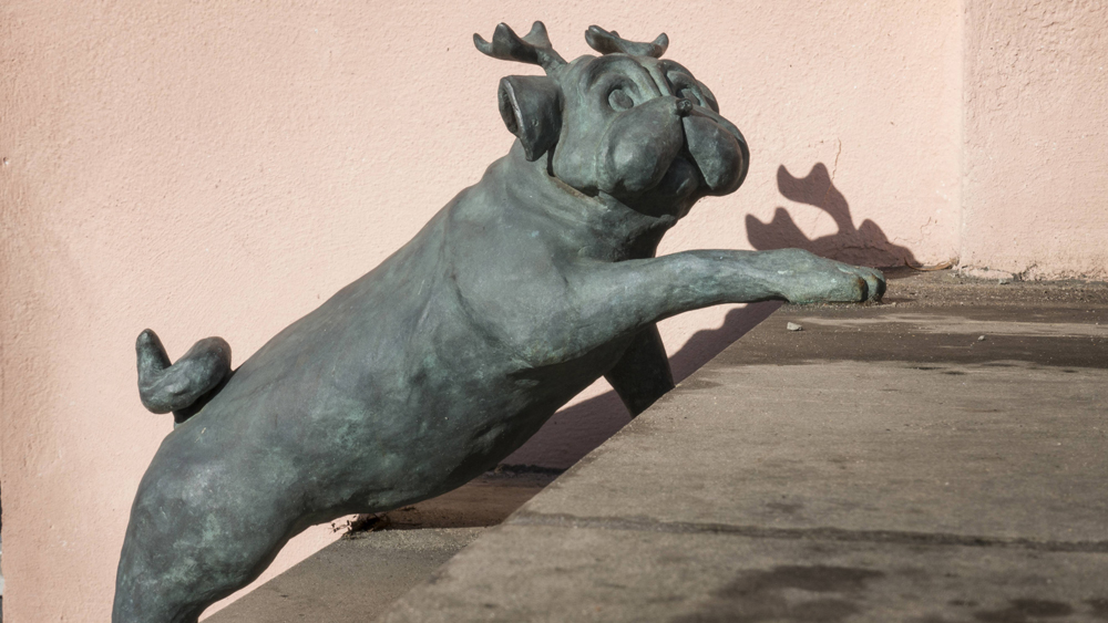 Ein Waldmops als Skulptur im Straßenbild Brandenburgs/Havel