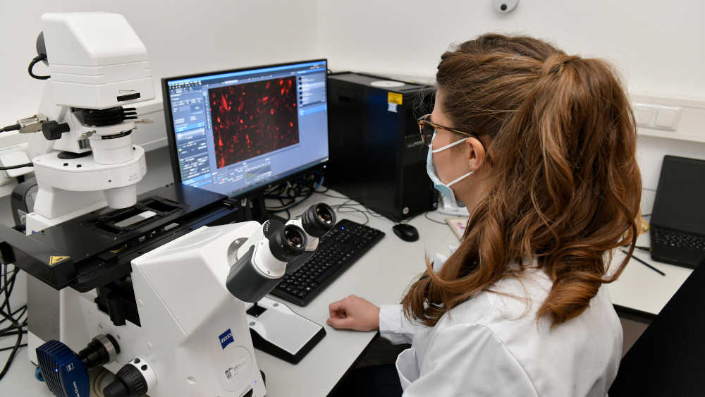 Krebs bleibt die am meisten gefürchtete Krankheit der Deutschen