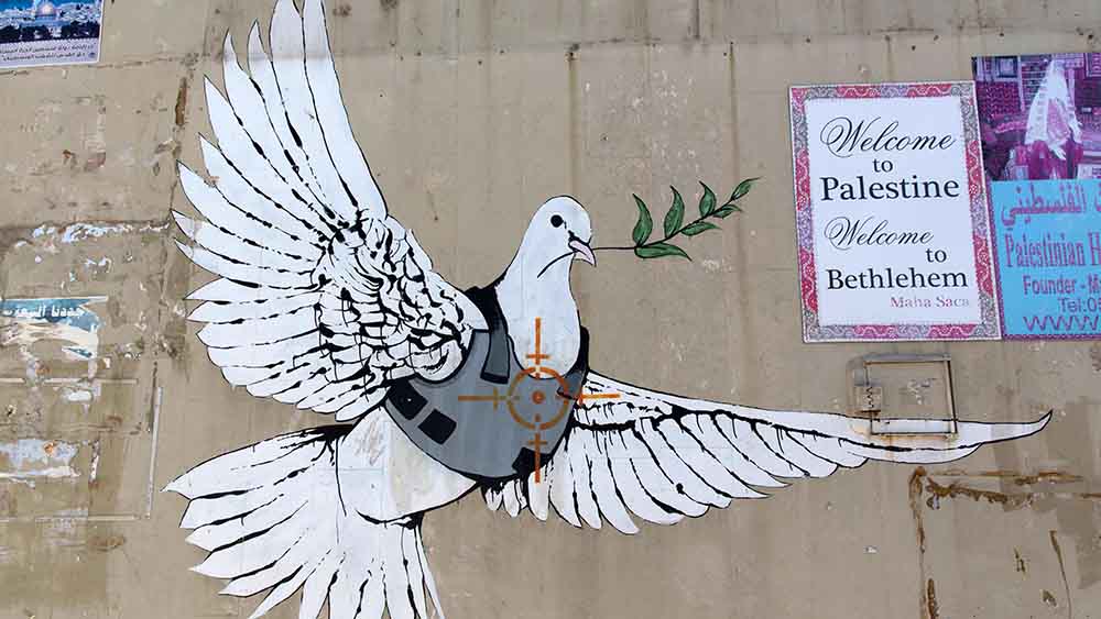 In Bethlehem malte der Street-Art-Künstler Banksy im Januar 2008 eine Taube mit kugelsicherer Weste