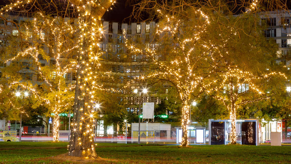 Image - Durchsuchung bei “Letzter Generation” nach Attacken auf Weihnachtsbäume