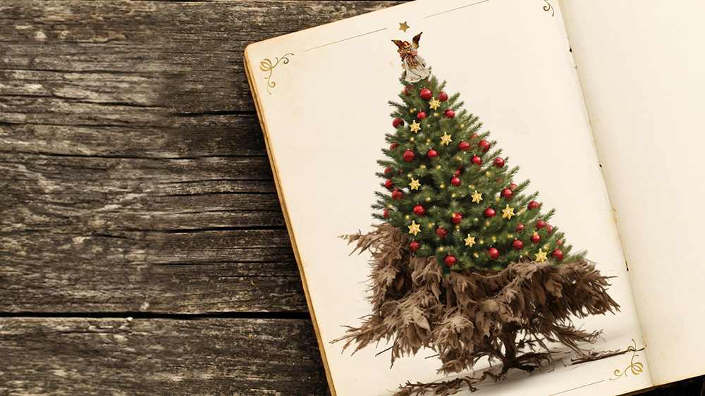Einige Menschen brauchen dieses Jahr Bilder von geschmückten Weihnachtsbäumen - andere können sie nicht ertragen