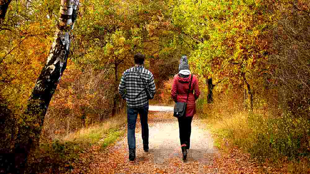 Ein Paar geht im herbstlichen Wald spazieren.