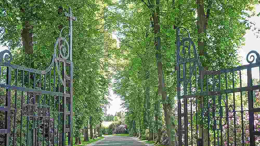 Der evangelische Friedhof an der Wittener Pferdebachstraße begrüßt Besucher*innen mit hohen Bäumen. Davon soll es in Zukunft noch mehr geben