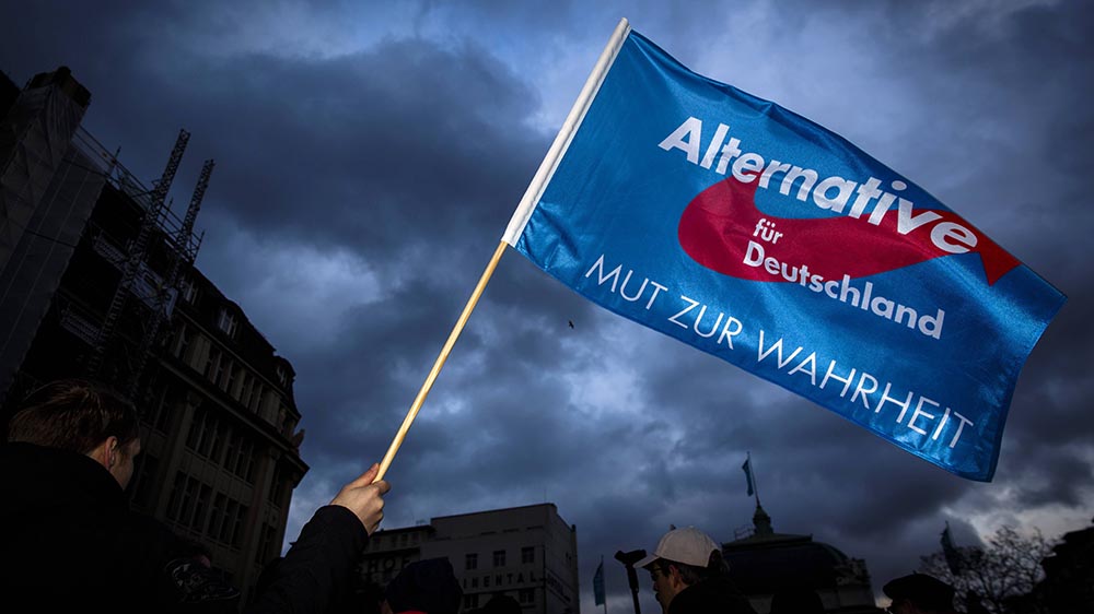 Die AfD- liegt in Umfragen in einigen Bundesländern vorn (Symbolbild)