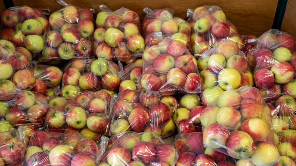 Im vergangenen Jahr wurden 12,1 Prozent weniger Äpfel als im ertragreichen Jahr 2022 geerntet