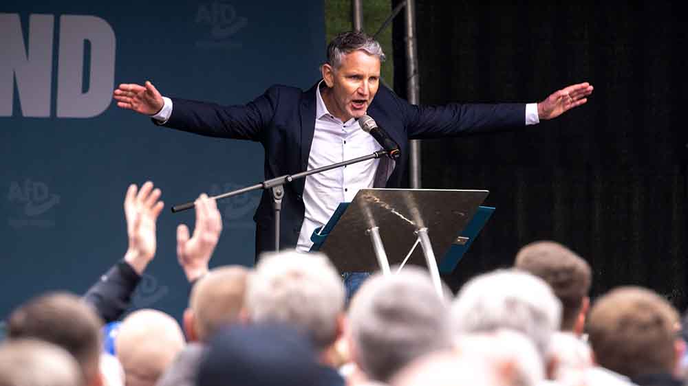 Image - Parteiverbot und Entzug von Grundrechten: Was gegen die AfD hilft