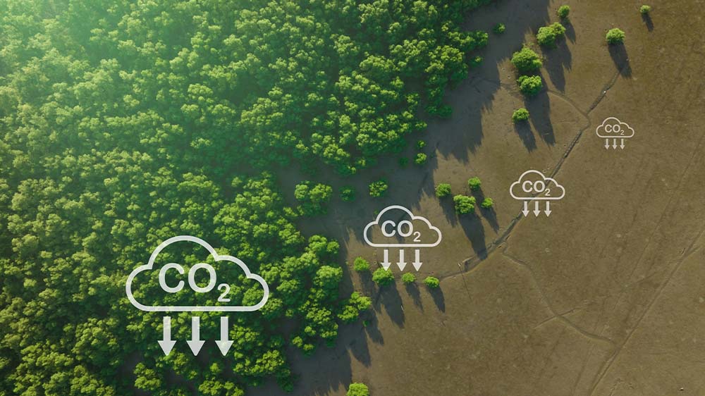 Die Speicherung von Kohlendioxid im Untergrund soll dem Klimaschutz dienen