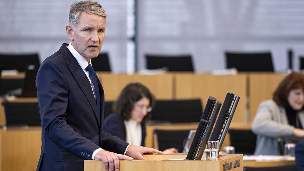 Björn Höcke soll Grundrechte verlieren, fordert eine Petition