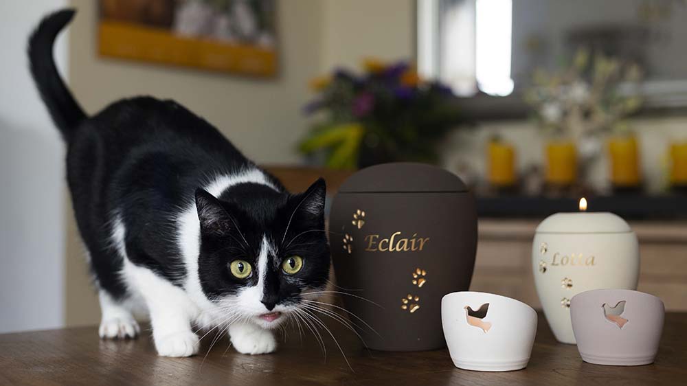 Für Tiere gibt es spezielle Urnen