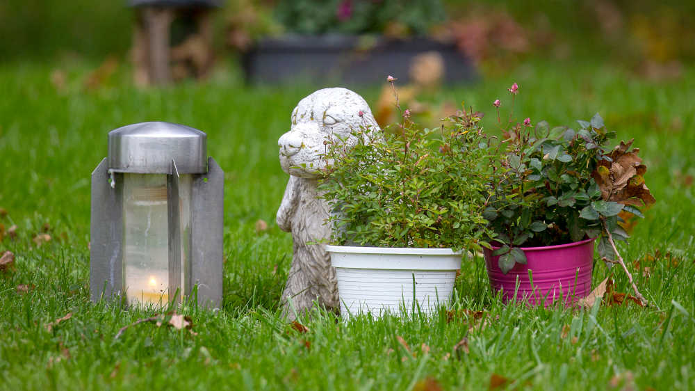 Friedhöfe für Haustiere gibt es in immer mehr Regionen Deutschlands