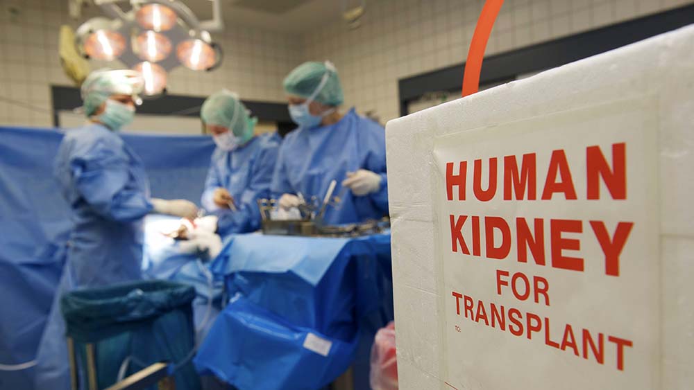 Image - Das ewige Elend mit der Organspende