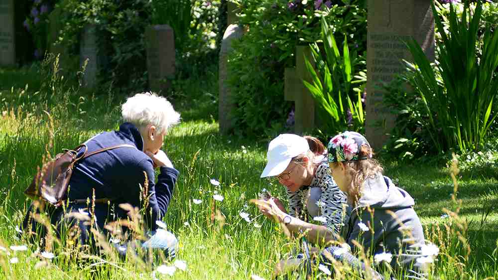 Teilnehmerinnen beobachten Insekten beim Praxistag „Wiese“ auf dem Neuen Friedhof in Gütersloh