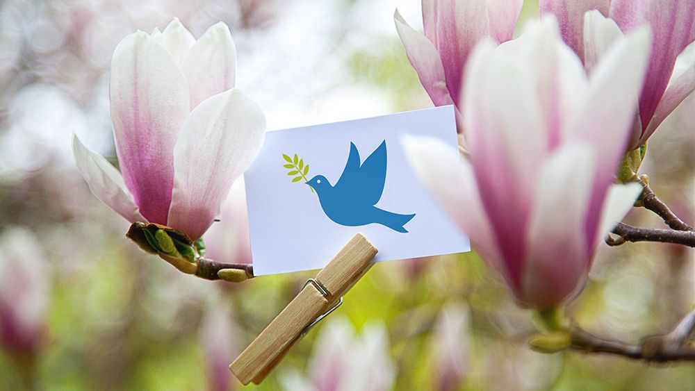 Die Taube mit dem Olivenzweig findet sich als Friedenssymbol auf vielen Produkten wie Fahnen, Luftballons und Karten