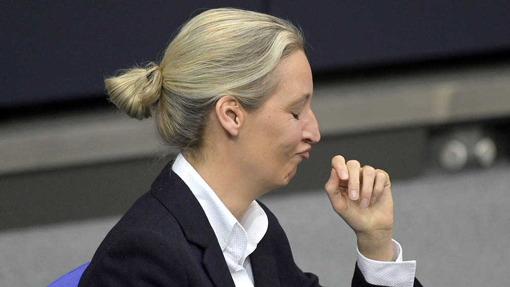 Über ein Verbotsverfahren gegen die AfD um ihre Chefin Alice Weidel wird diskutiert