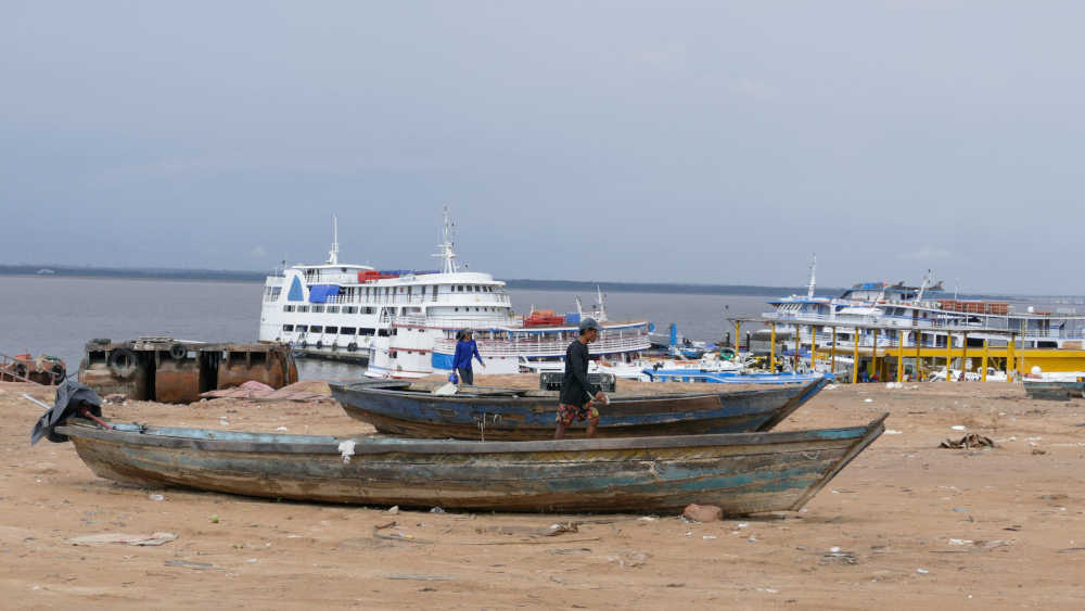 Image - Amazons-Regenwald leidet unter Jahrhundert-Dürre
