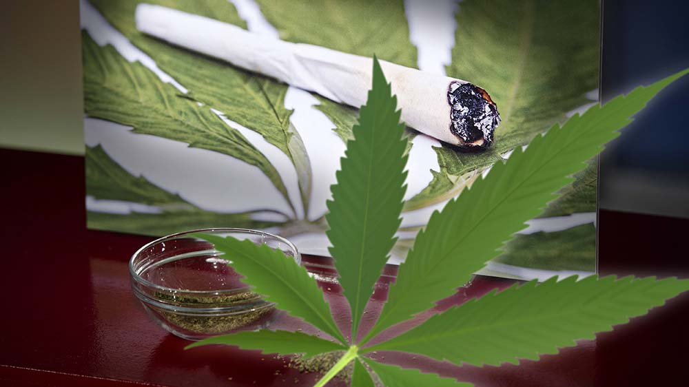 Der Bundestag entscheidet über das Cannabis-Gesetz