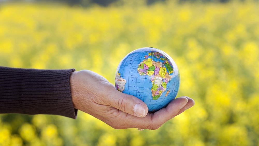 Auf dem Gebiet der Nordkirche gibt es Internationale Gemeinden aus der ganzen Welt