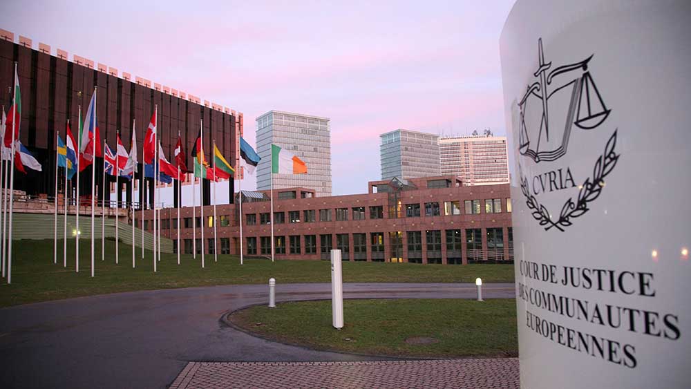 Image - EuGH-Urteil ermöglicht vielen Syrern, Asylfolgeantrag zu stellen