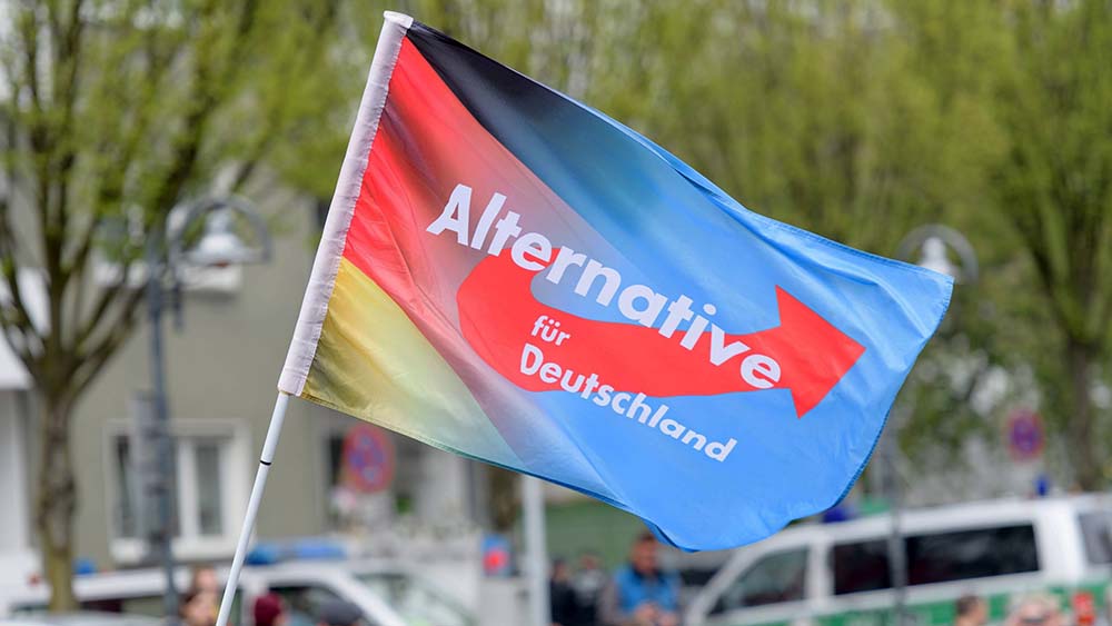 Die AfD hat ein großes antidemokratisches Netzwerk, sagt die Mobile Beratung