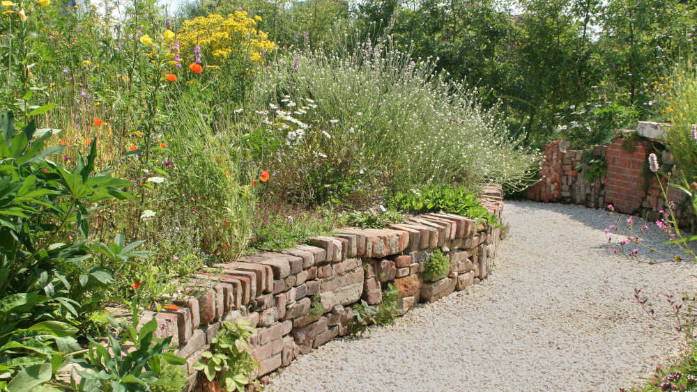 Naturnaher Garten mit Wildblumen und -sträuchern