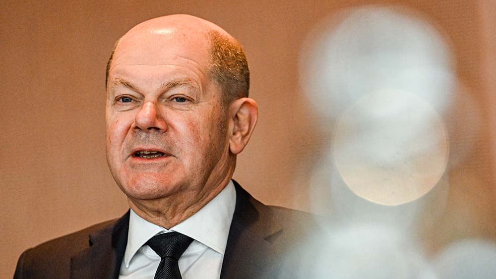 Bundeskanzler Olaf Scholz