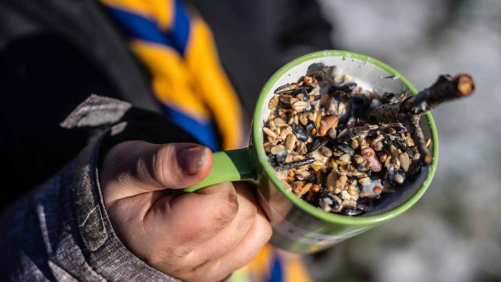 Eine Studie hat Fälle sexualisierter Gewalt bei Pfadfindern ermittelt