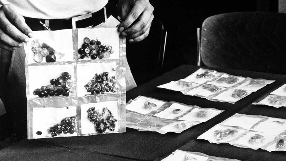 Image - WDR-Doku über Jagd nach den Räubern des Kölner Domschatzes