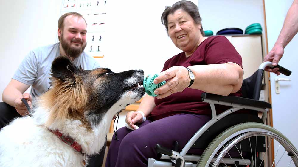Auch in der Geriatrie werden Therapiehunde eingesetzt