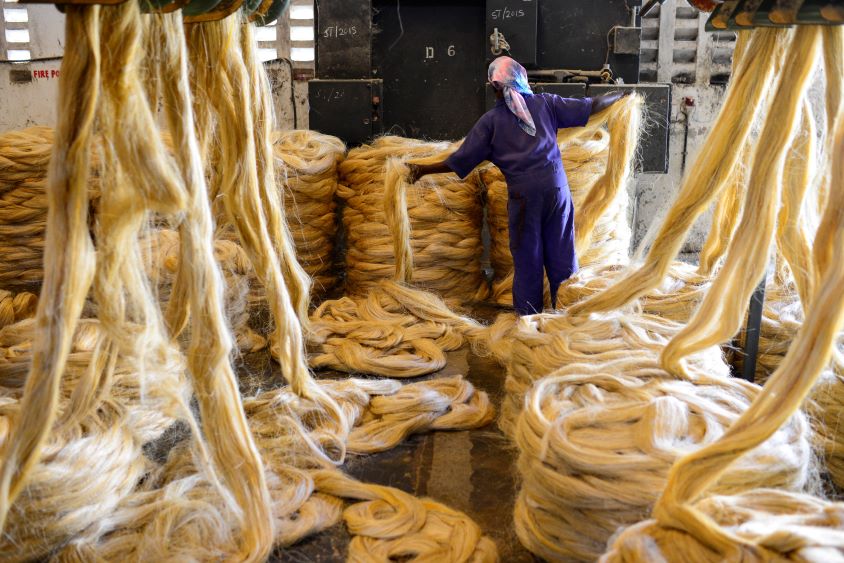 Image - Lieferkettengesetz: Bundesregierung muss Farbe bekennen!