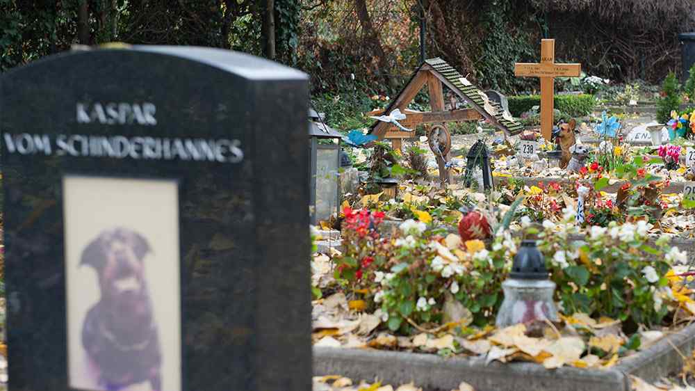 Auf dem Mainzer Tierfriedhof finden viele geliebte Haustiere ihre letzte Ruhestätte
