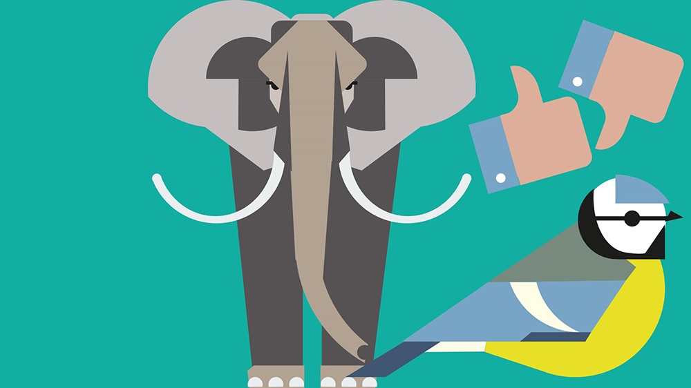 Von Elefant und Ameise kann man viel über Dinge lernen, die man immer für selbstverständlich nimmt