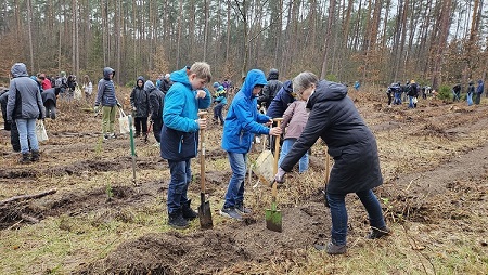 Gemeinsam mit Jugendlichen aus der Schelfgemeinde in Schwerin pflanzt die Landesbischöfin der Nordkirche, Kristina Kühnbaum-Schmidt, Douglasien.