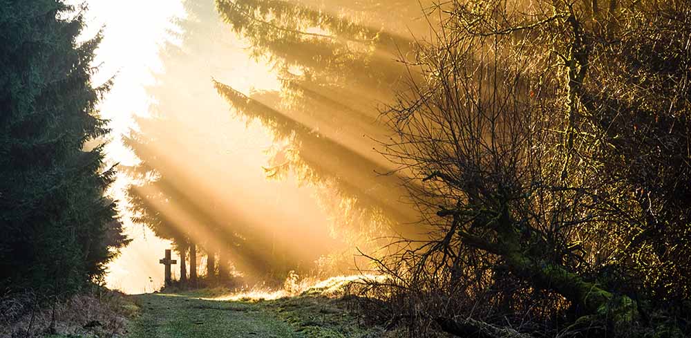 Ostern: Der Tod ist nicht das Ende, sondern der Anfang