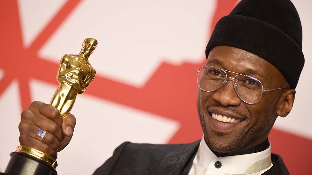 Image - “Green Book” – ein Oscar-Gewinner über Rassismus