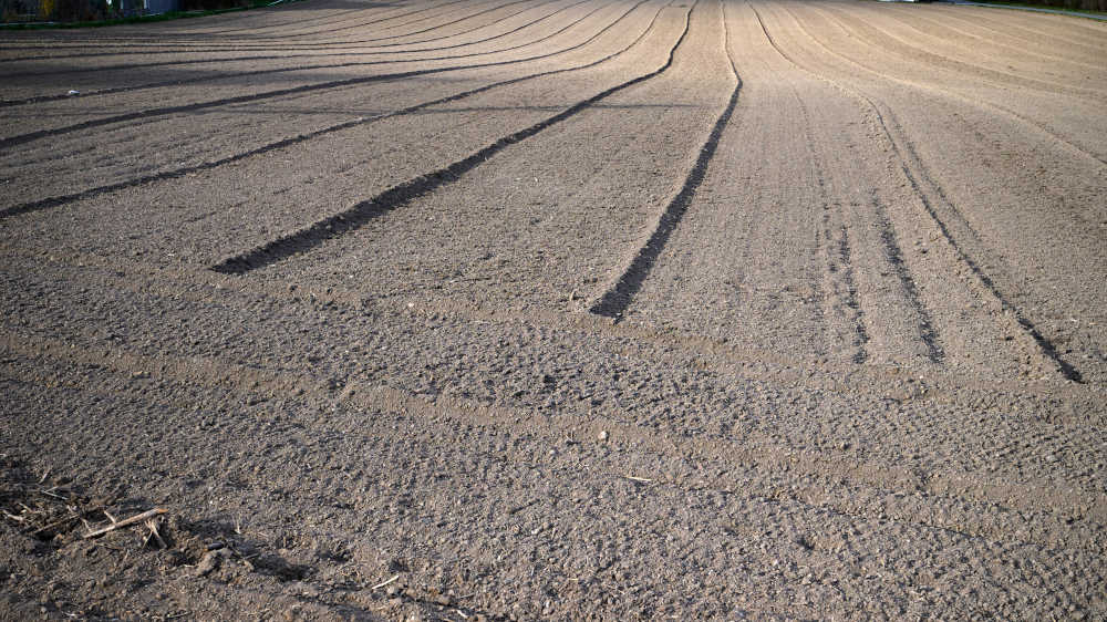 Auch im März wurde ein neuer Temperaturrekord gemessen