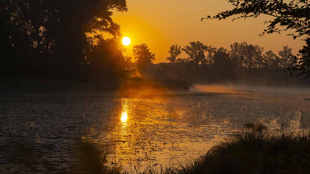 Nicht nur zum Sonnenuntergang lohnt sich ein Spaziergang durch einen Auwald