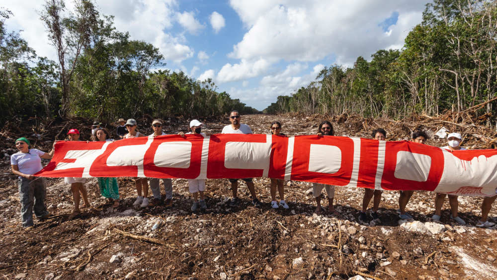 Mehr als die Hälfte der Angriffe richtete sich im Jahr 2023 gegen indigene Umweltaktivisten und deren Gemeinden, die sich gegen den Raubbau an der Natur in Mexiko einsetzen
