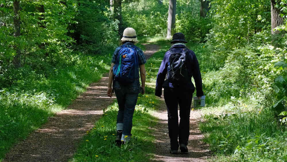 Unterwegs auf dem Pilgerweg – Schritt für Schritt zur inneren Ruhe und neuen Perspektiven