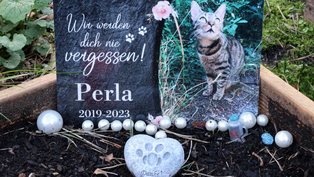 Die Bremer Trauergruppe hilft Menschen, die ein Tier verloren haben