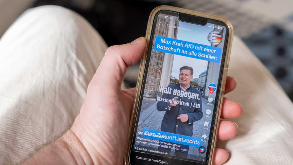 Die AfD ist in den Sozialen Medien erfolgreicher als andere Parteien