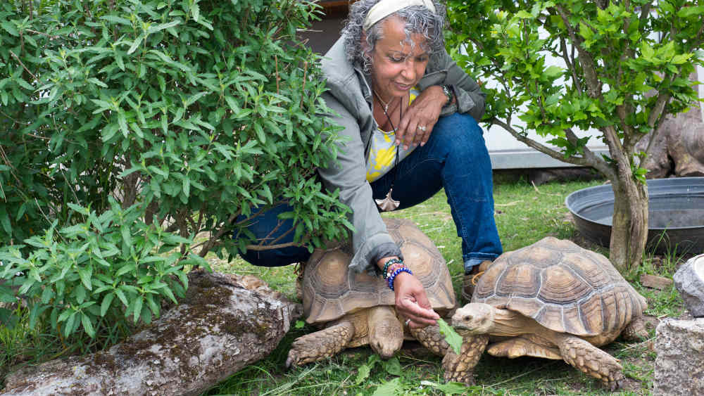 Christin Kern hat eine Auffangstation für Landschildkröten in Stuttgart 