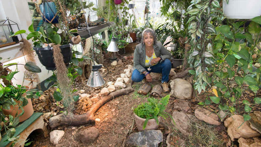 Das tropische Innengelände hat 80 bis 90 Prozent relativer Luftfeuchtigkeit