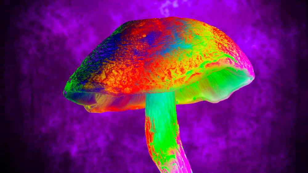 Sogenannte Drogen-Kirchen in den USA führen mit Psychedelika bewusstseinserweiternde Rituale durch