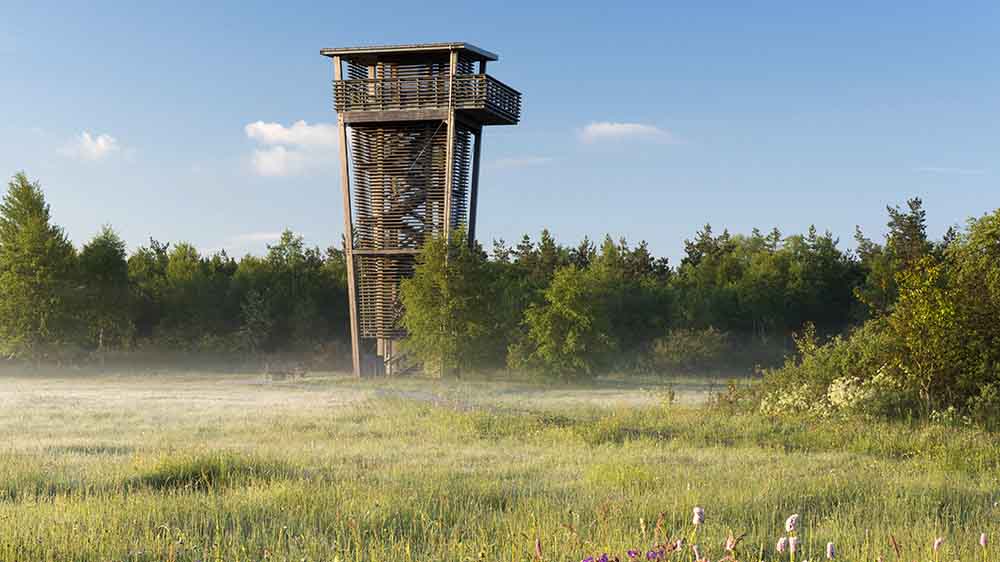 Das EU-Gesetz soll geschädigte Öko-Systeme wiederherstellen