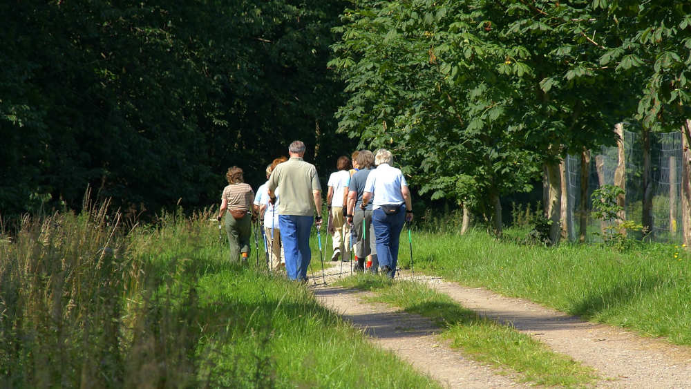 Image - WHO besorgt über zu wenig Bewegung bei Erwachsenen