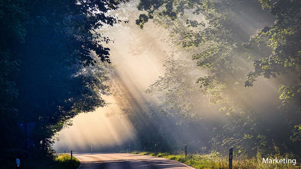 Licht ist wichtig für das Leben auf unserem Planeten