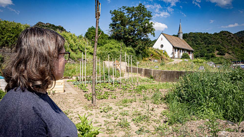 Image - Ahrtal: Eine Region mit Narben